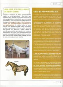 Un tratamiento de origen natural para gastritis y úlceras gastroduodenales en el caballo