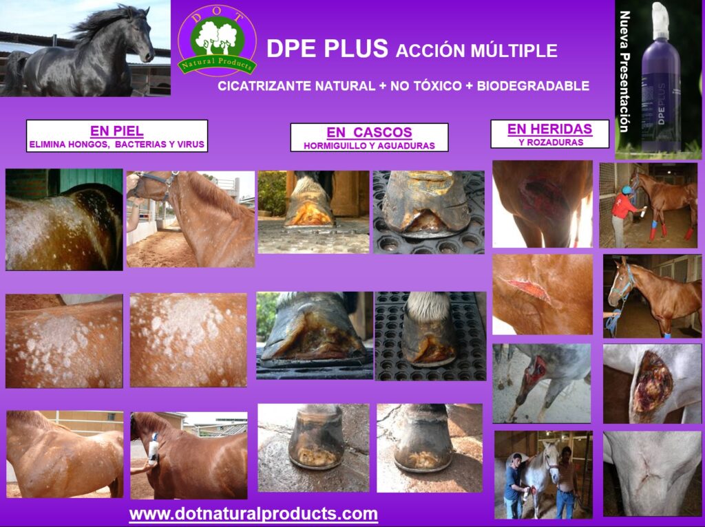 DPE Plus Acción Múltiple